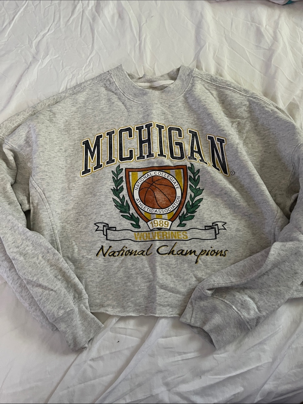 Abercrombie Michigan Wolverines Grey Graphic Sweatshirt
